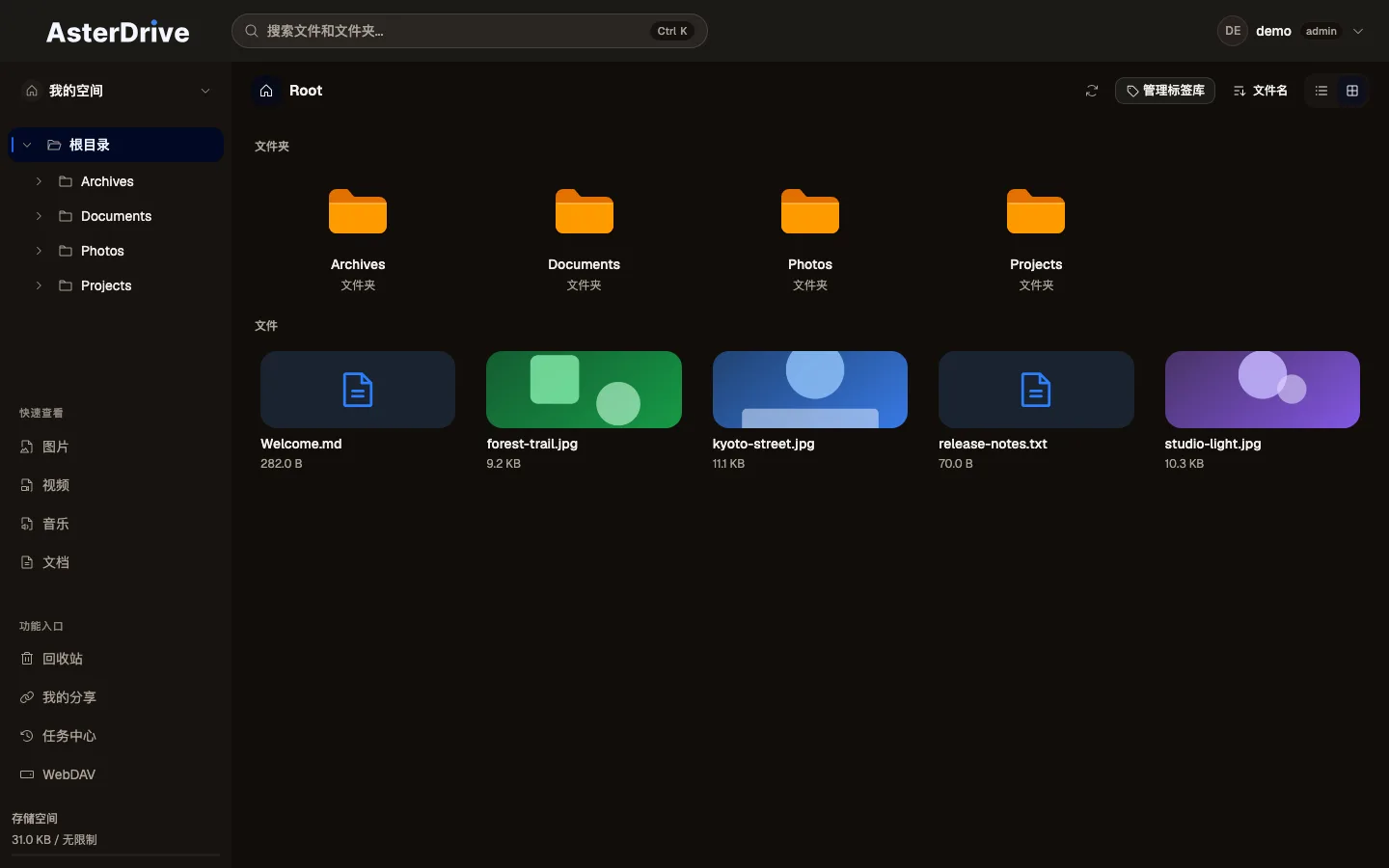 AsterDrive Web 面板截图